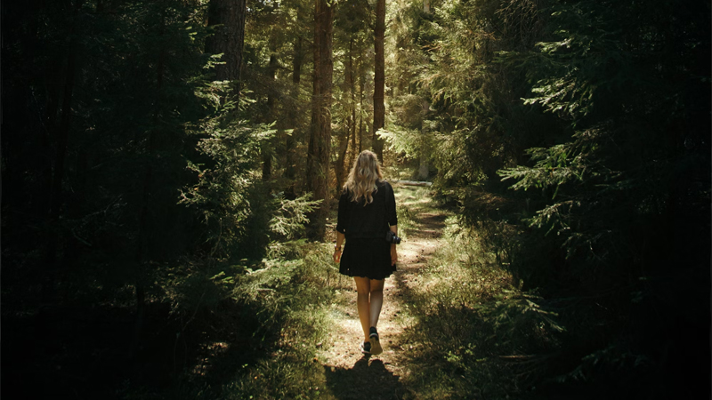 CAMINATAS POR EL BOSQUE